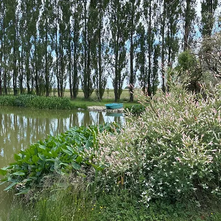 Et Tables D Hotes Du Boiziller فندق مبيت وإفطار