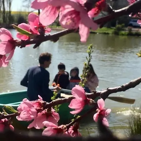 Et Tables D Hotes Du Boiziller Saint-Michel-Mont-Mercure