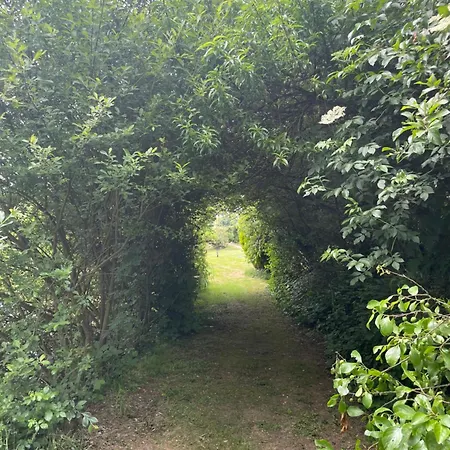 فندق مبيت وإفطار Et Tables D Hotes Du Boiziller Saint-Michel-Mont-Mercure