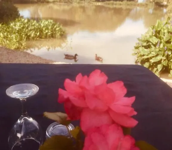 Et Tables D Hotes Du Boiziller Bed & Breakfast