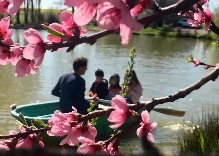 Et Tables D Hotes Du Boiziller Saint-Michel-Mont-Mercure