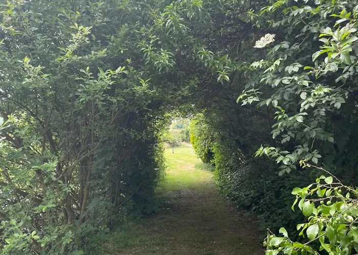 Bed & Breakfast Et Tables D Hotes Du Boiziller Saint-Michel-Mont-Mercure